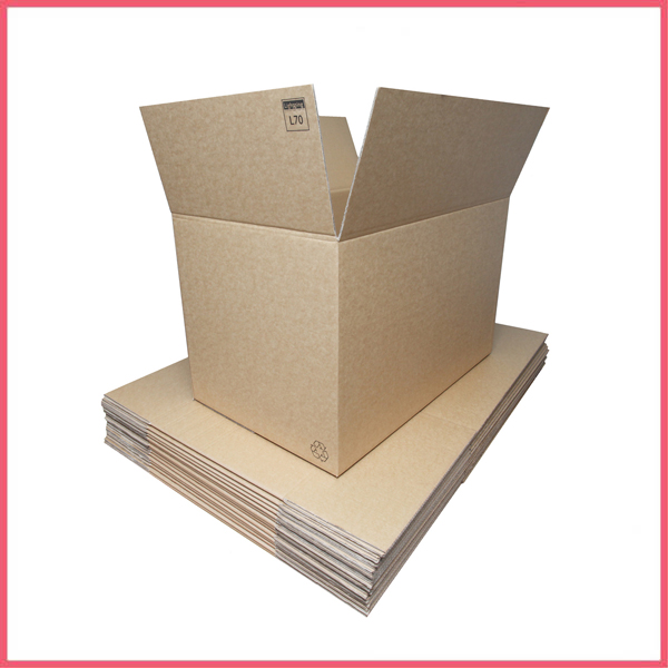 Large Double Wall Cardboard Box