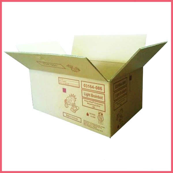 Standard Export Carton