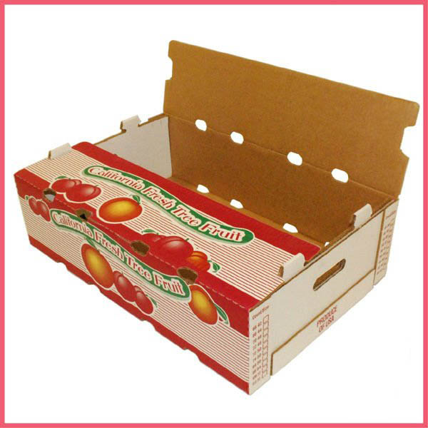 Apple Packaging Box