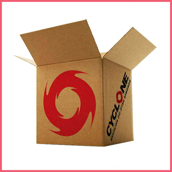 Products Packaging Carton