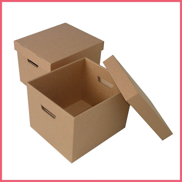Carton Storage Boxes