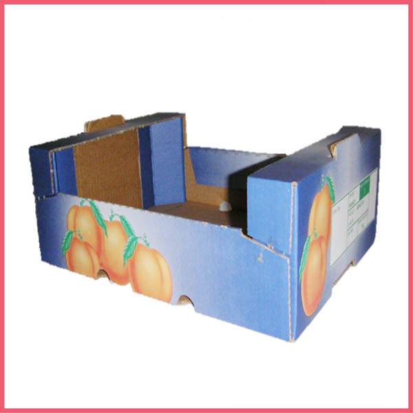 Paper Fruit Tray