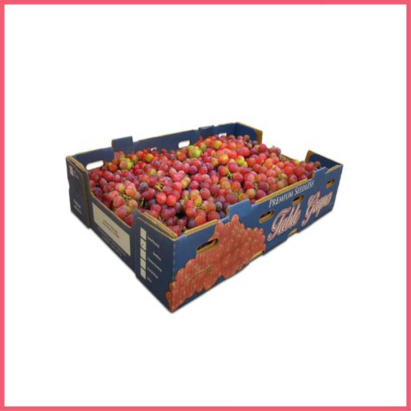 Paper Trays for Fruits