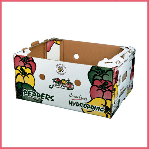 Pepper Packaging Box
