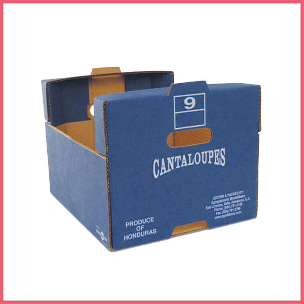 Cantaloupe Packaging Box