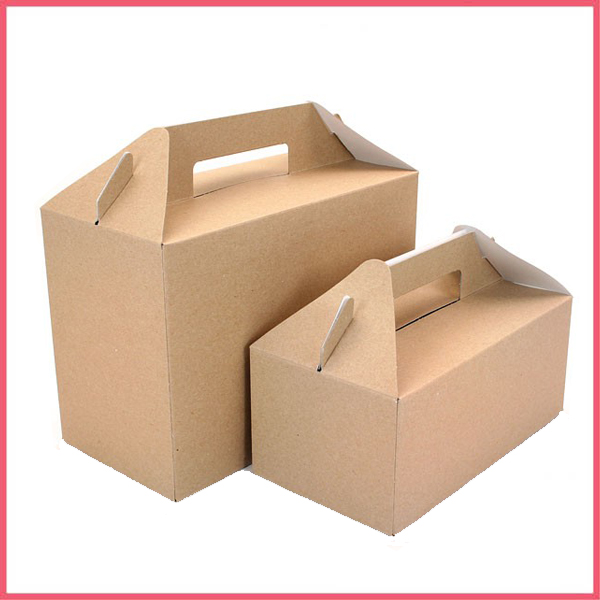 Paper Picnic Box