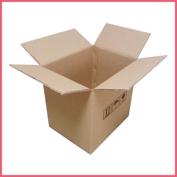Carton Box For Shipping