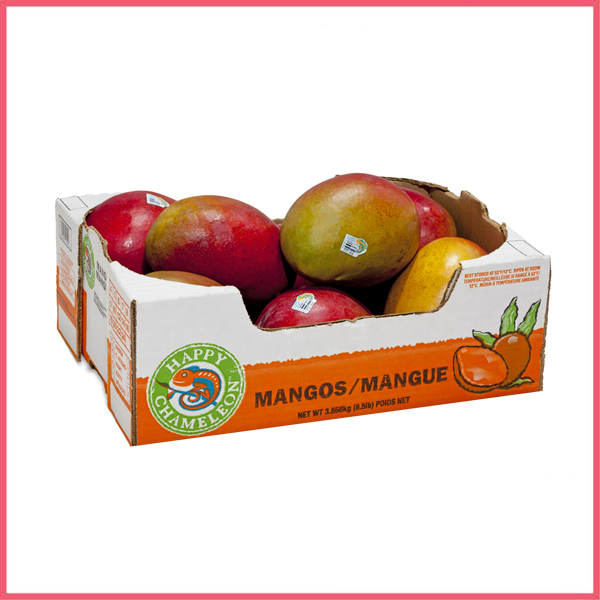 Corrugated Box For Mango