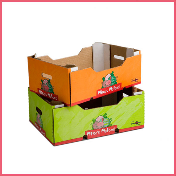 Melon Packaging Boxes For Melon