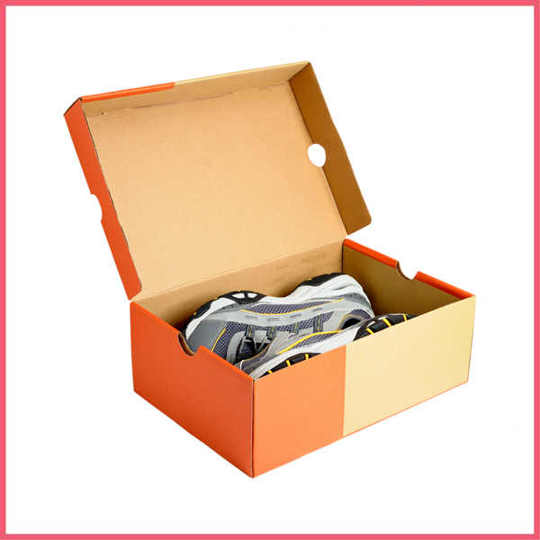 Folding Shoe Box