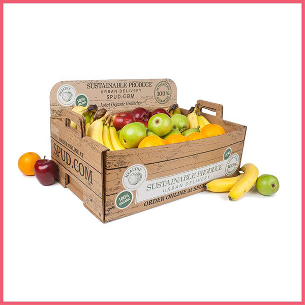 Big Size Fruit Boxes