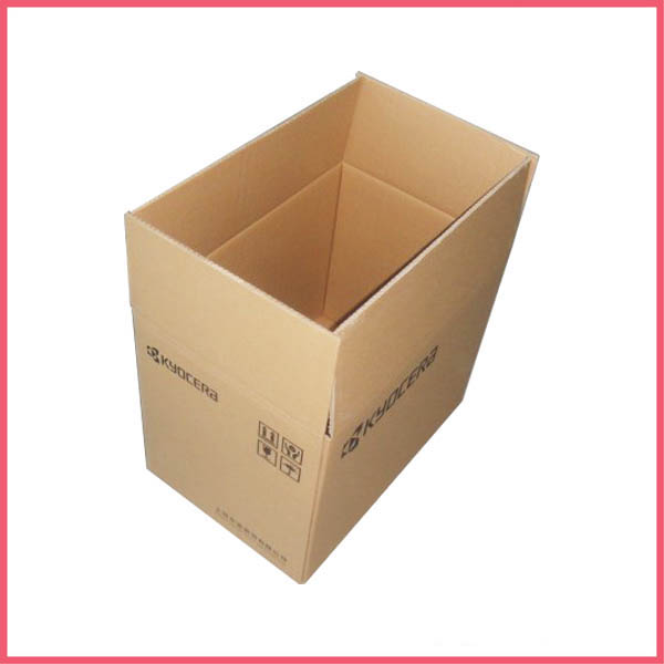 Biodegradable Cardboard Boxes