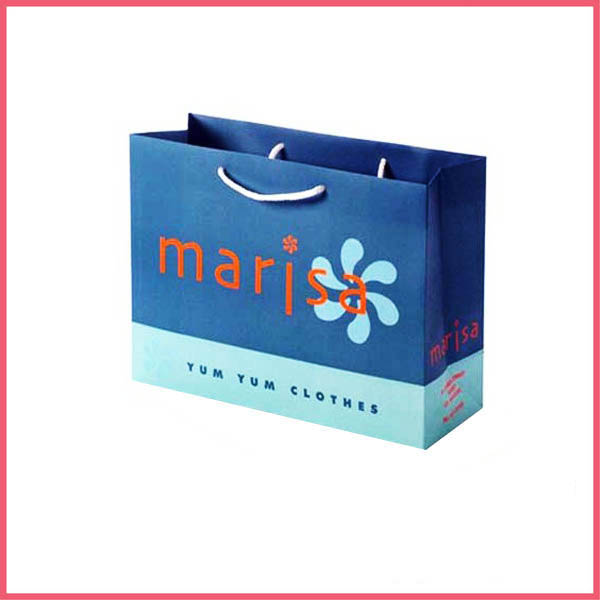 Gift Paper Bag