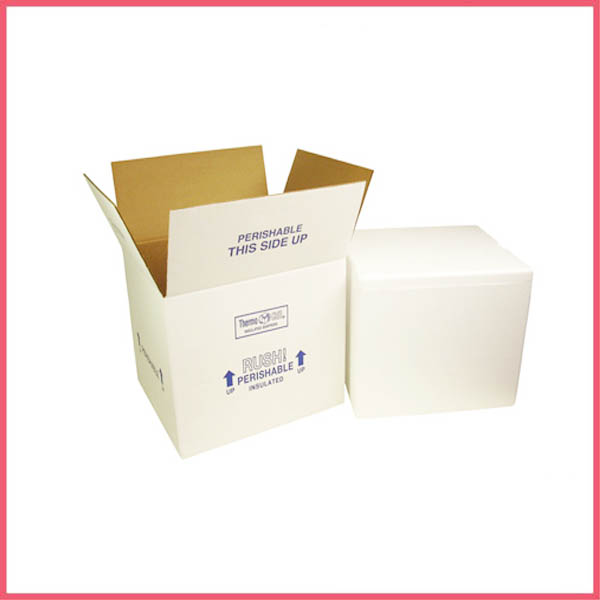 Cardboard Packaging for Frozen Food