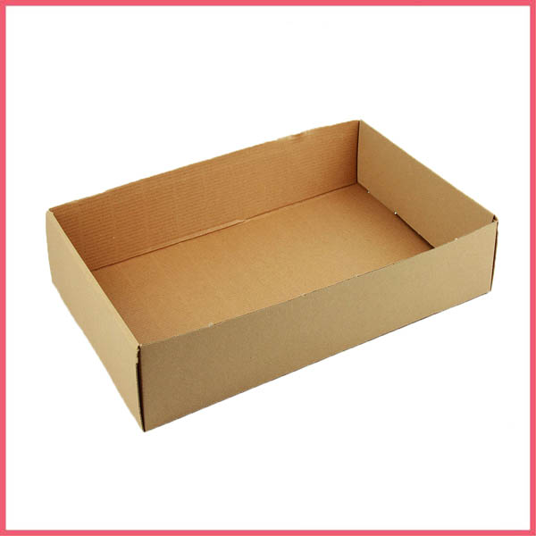 Cardboard Tray