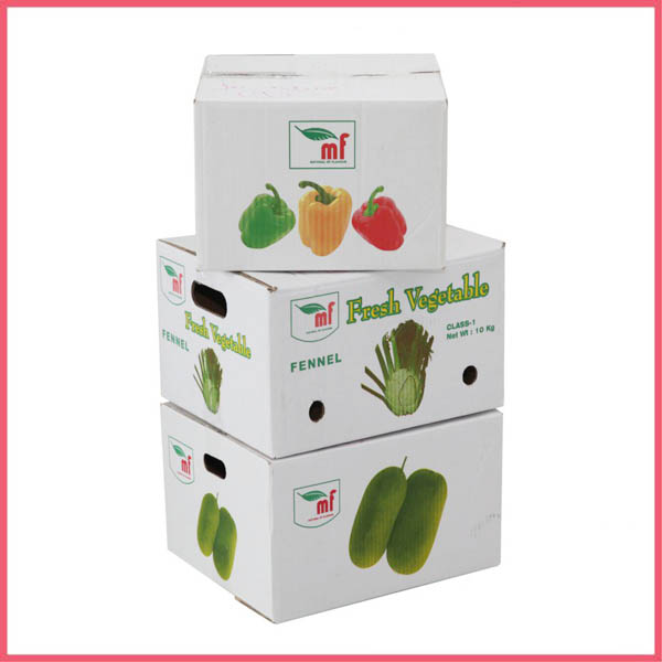 Vegetable Carton