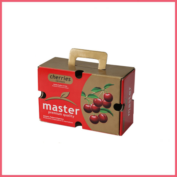 Fruit Packaging Carton Box