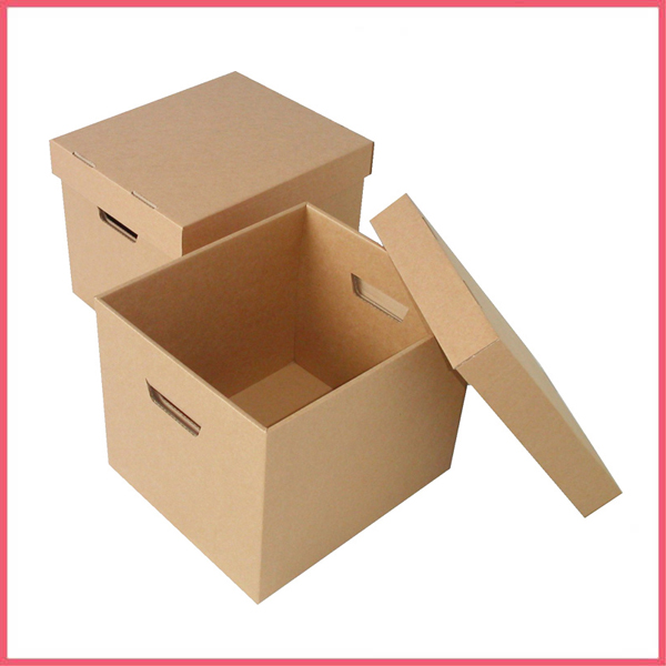 Storage Box With Lid