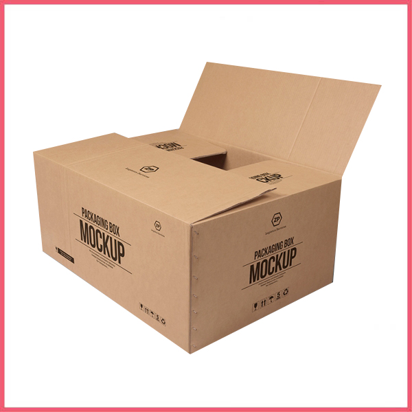 Master Corrugated Carton Box